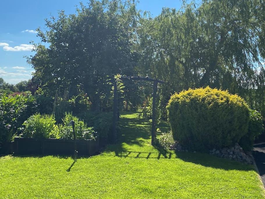 Adorable Cabin In The Countryside Port Laoise Exteriör bild