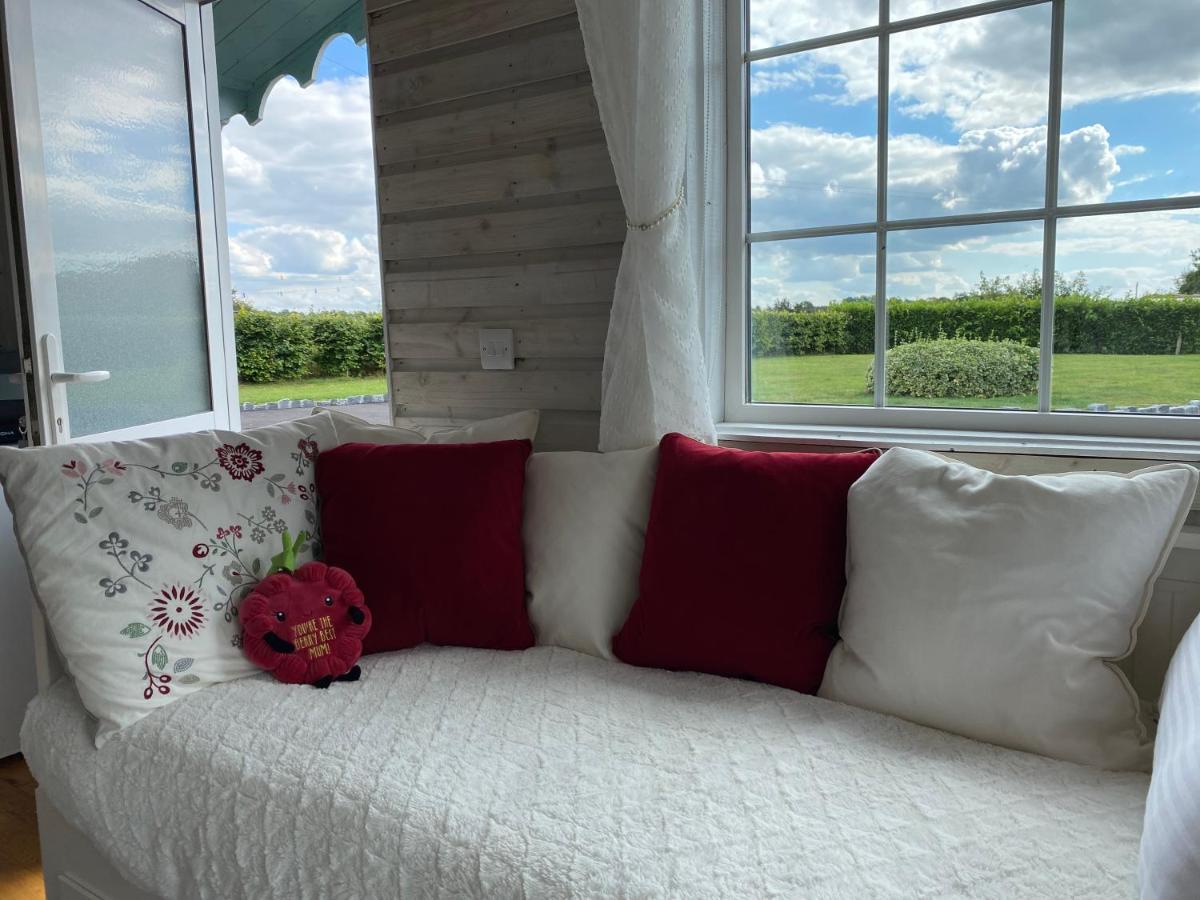 Adorable Cabin In The Countryside Port Laoise Exteriör bild